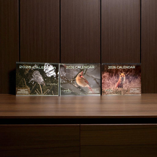 2025 Canadian Wildlife Calendars – Foxes, Owls &amp; Assorted Nature Photography